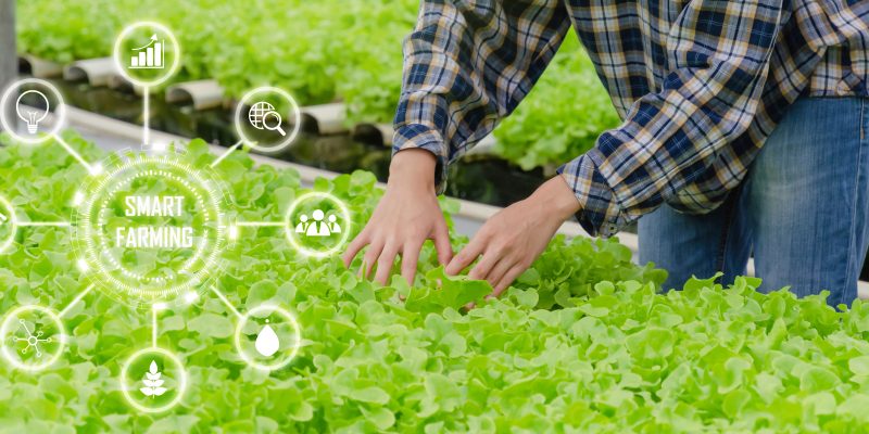 Communication Agricole : Communiquer Auprès Des Agriculteurs Grâce Au Digital ?