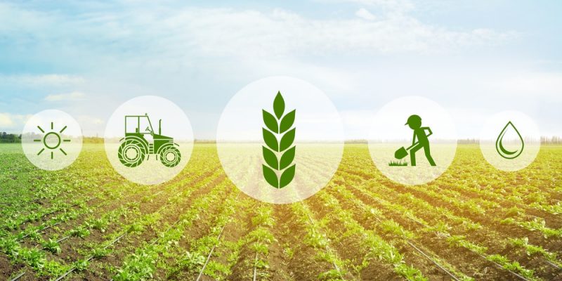 Logo agricole : Comment l&#39;utiliser pour votre entreprise ? - JBK AGRICOMM
