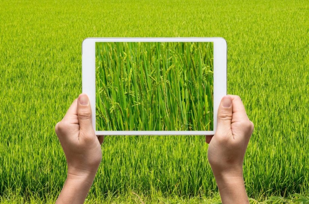 agence-de-communication-agricole